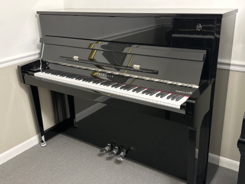 Additional image for Schimmel F116T Fridolin